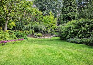 Optimiser l'expérience du jardin à Flainval